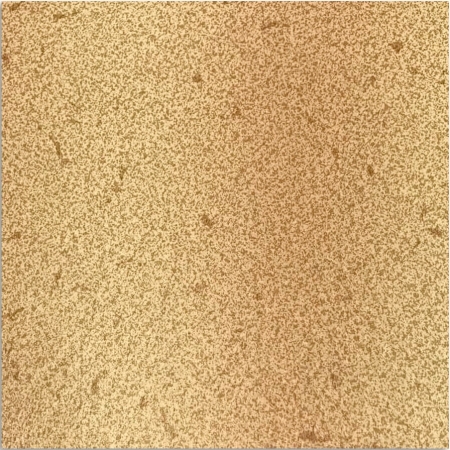 Пленка с рисунком для бассейна «Песок» ширина 2,05м Cefil Terra, 25.2м